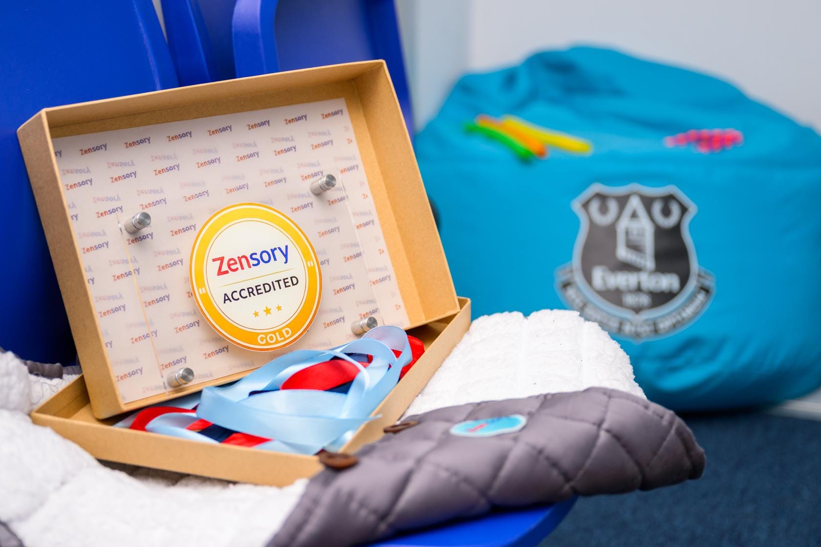 Zensory Gold accreditation award beside weighted lap pads in Everton's sensory room